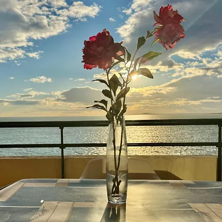 T3 De 65 M² Avec Acces Direct A La * セット